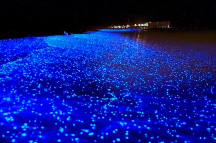 Foto bellissime 10 maldive