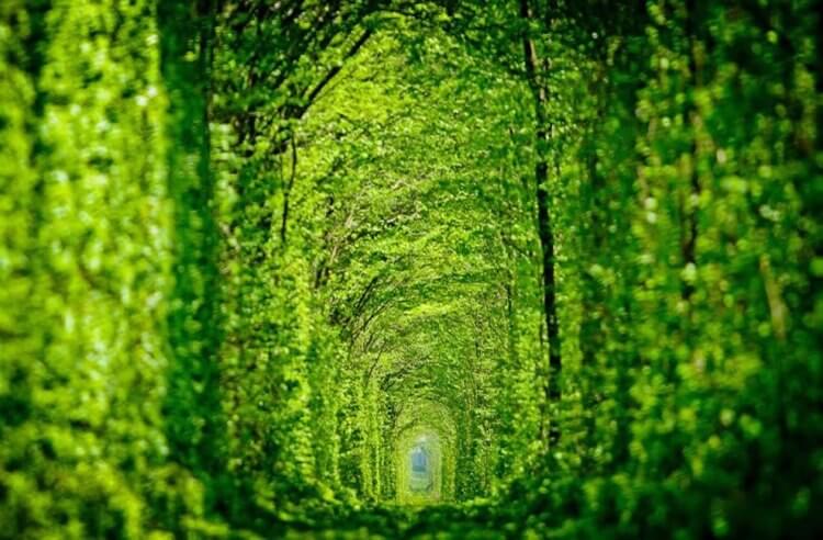Foto bellissime 12 ucraina