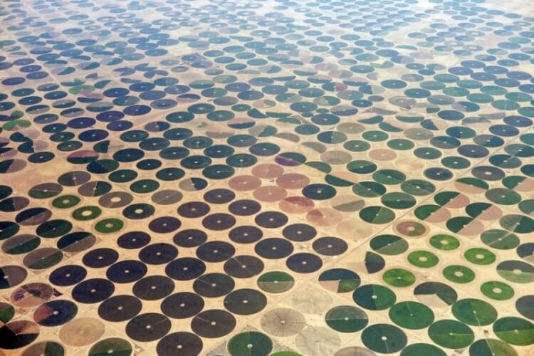 10 Buongiorno psichedelico - Campi agricoli in Arabia Saudita