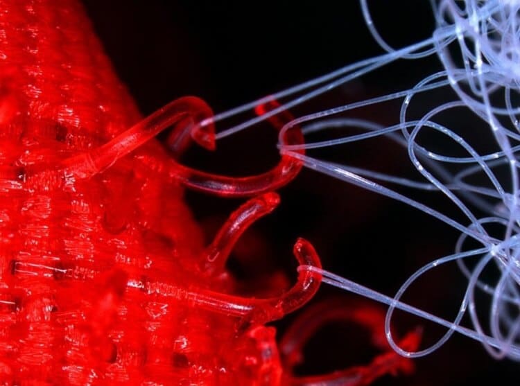 8 Buongiorno incasinato - Velcro visto al microscopio
