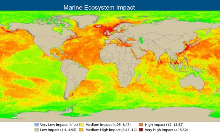 La mappa mondiale dell'inquinamento marino La mappa mondiale dell'inquinamento marino