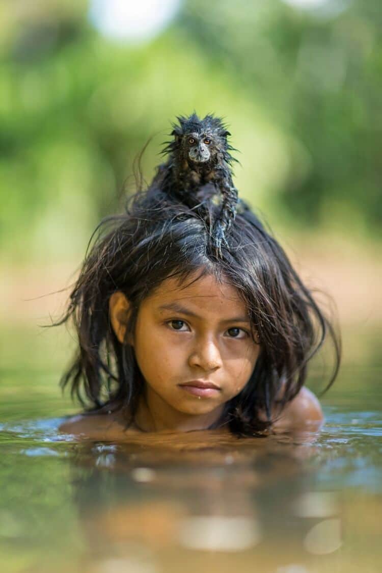 foto 1 migliori foto 2016 national geographic foto 1 migliori foto 2016 national geographic