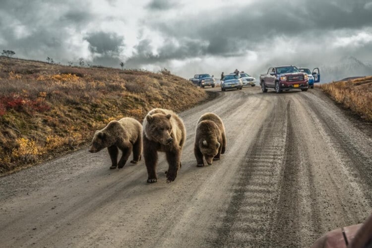 foto 10 migliori foto 2016 national geographic foto-10-migliori-foto-2016-national-geographic