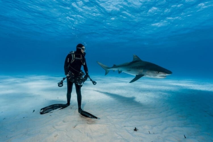 foto 2 migliori foto 2016 national geographic foto 2 migliori foto 2016 national geographic