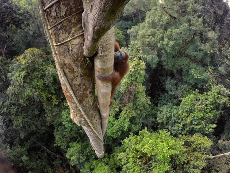 foto 3 migliori foto 2016 national geographic foto 3 migliori foto 2016 national geographic