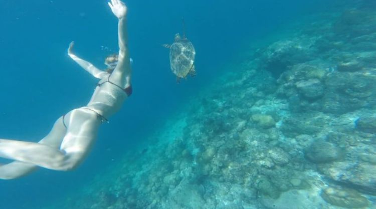 Federica Pellegrini Instagram capodanno maldive filippo magnini tartaruga Federica Pellegrini Instagram capodanno maldive filippo magnini tartaruga