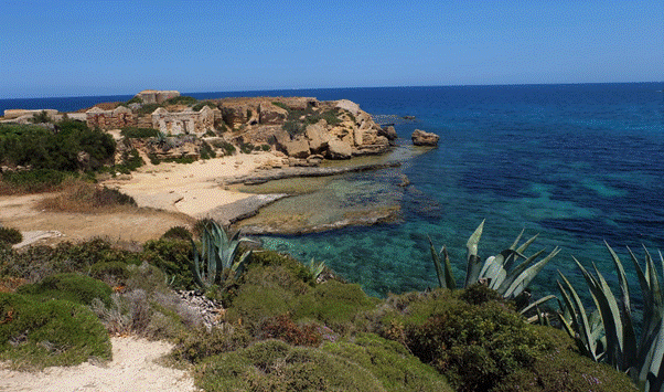 Penisola Maddalena, la proposta di Emanuele Di Gresy: “Sviluppo sostenibile, tutela ambientale e rilancio del territorio” 1 Penisola Maddalena, la proposta di Emanuele Di Gresy: “Sviluppo sostenibile, tutela ambientale e rilancio del territorio” 1